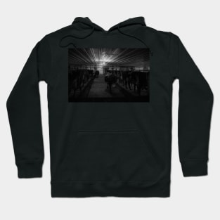 Cows at milking time in dark Amish milking shed Hoodie